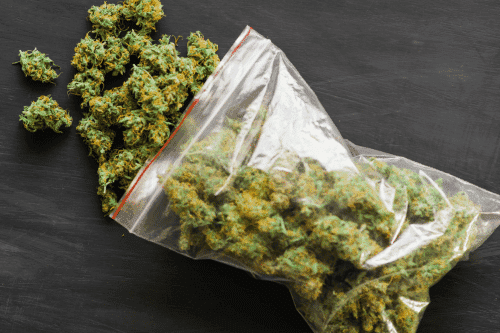 Can You Overdose on Weed?