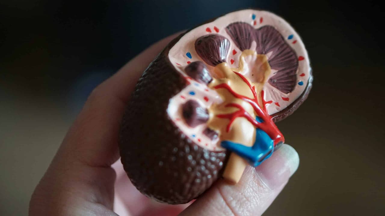 Top 10 Drugs That Cause Kidney Damage: Risks & Precautions