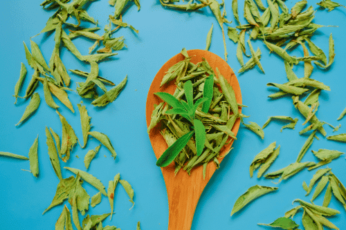 Top Natural Substitute for Gabapentin: Effective Options for Nerve Pain Relief