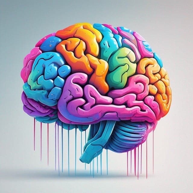 ai generated, brain, colorful